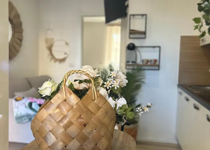 Apartament Maiorca & Minorca *